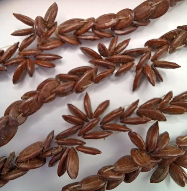 Koa Seed Necklace