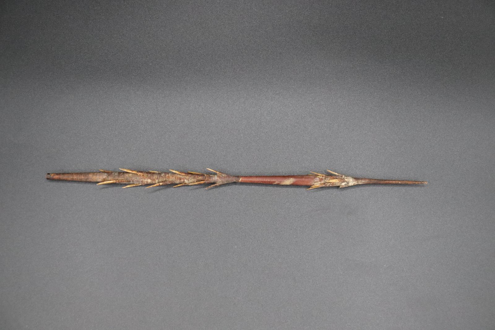 A short, barbed, wooden spear approximately 25cm in length.