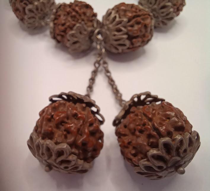 Rudraksha Seed 