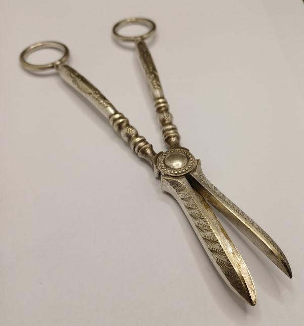 EPNS Grape Scissors