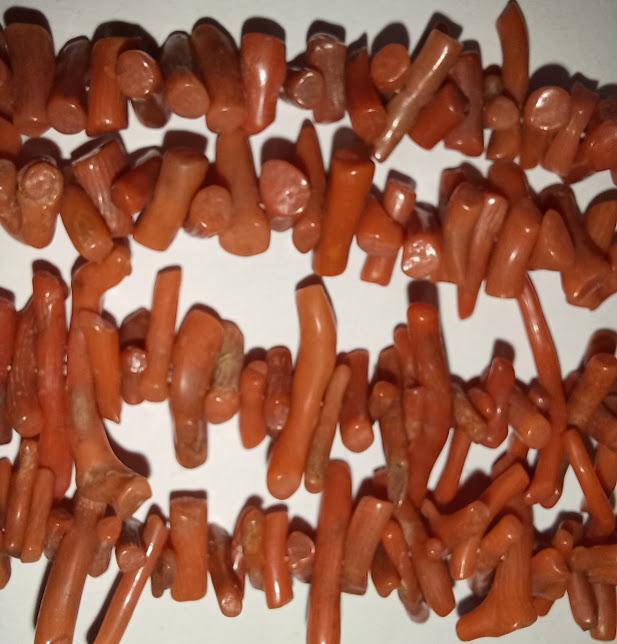 orange branch coral necklace