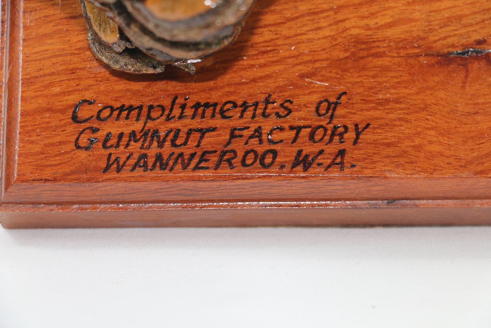 Brown, gum nut figurine sitting on a thick, rectangular wooden stand. A gum nut figure stylised as a swagman serves as an ink or pencil stand. The stylized swagman has a Banksia nut body and gumnut head with another nut as a hat with small beads hanging from it. The wooden base is lacquered with words engraved on the surface 'Compliments of/GUMNUT FACTORY/WANNEROO. W.A.' Two gum nuts on the right of the stand are glued in place and function as a pencil holder. 