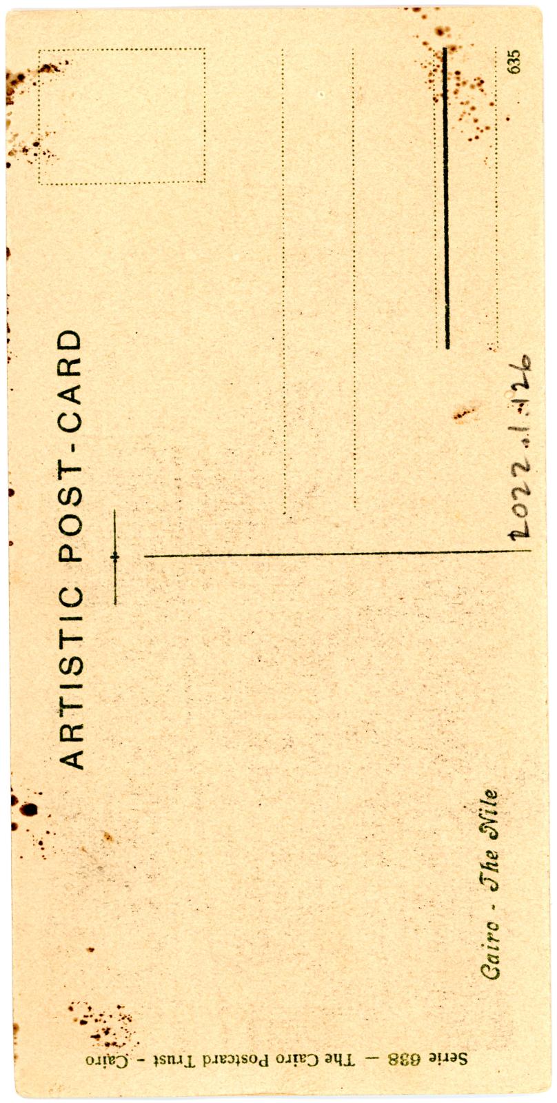 Back View