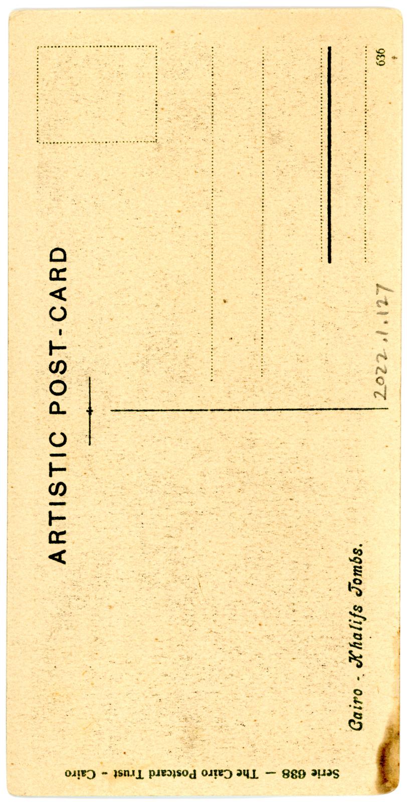 Back View