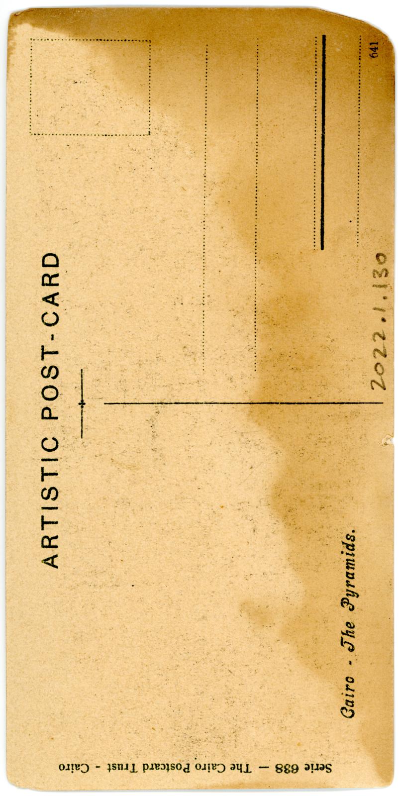 Back View