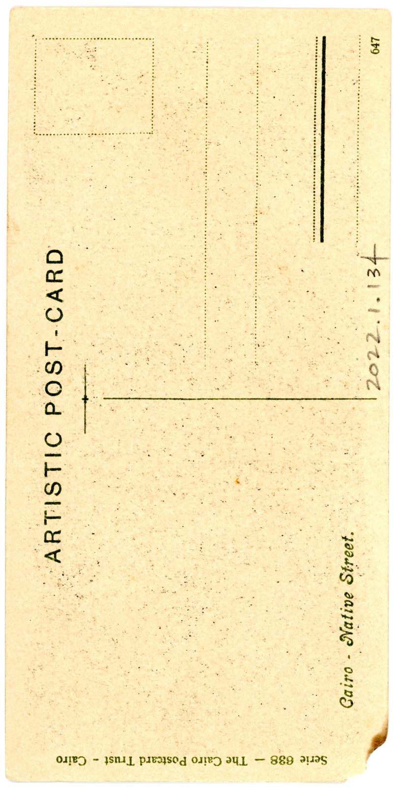 Back View