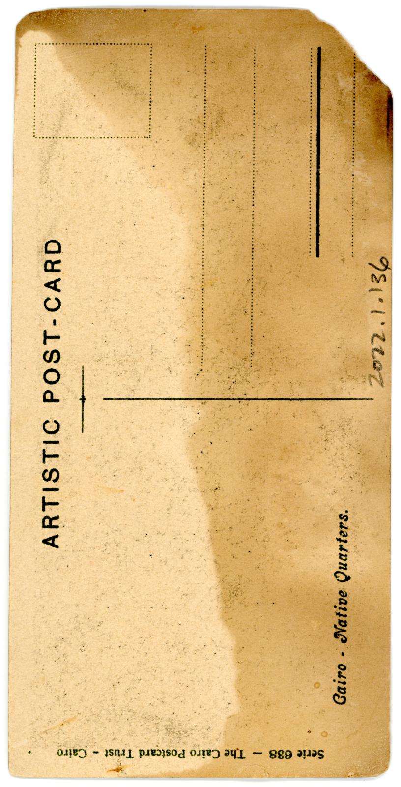 Back View