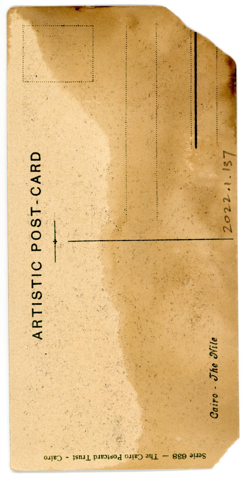 Back View