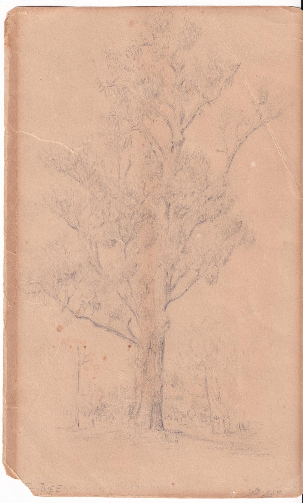 Pencil Sketch - Prinsep