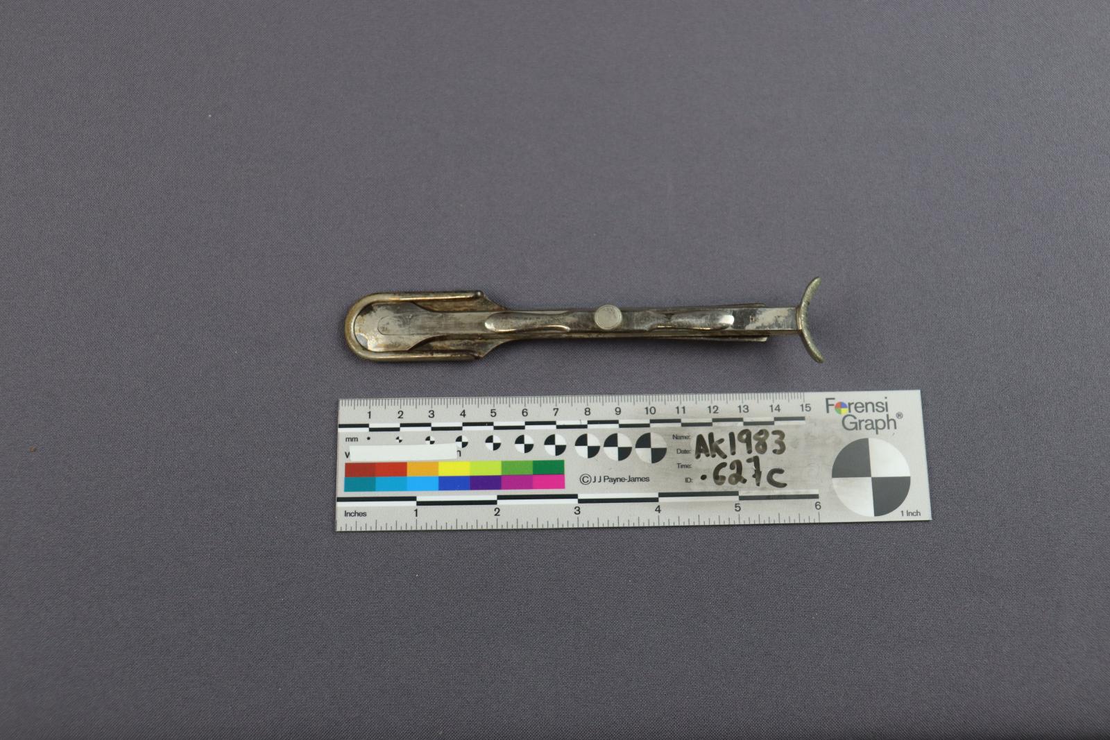 Tonsil removal tool