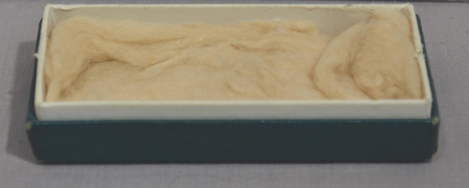 The dark green base of a rectangular watch box, it has a white inner sheath for the box top and is filled with a soft padding.