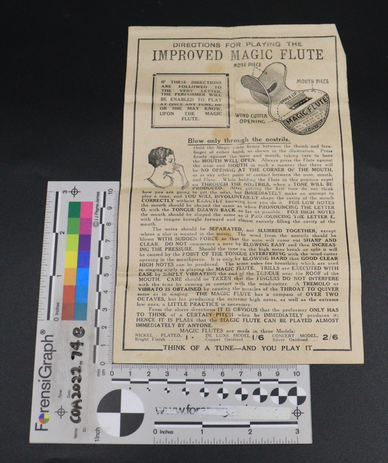 The front side to a set of instructions to the Magic Flute.