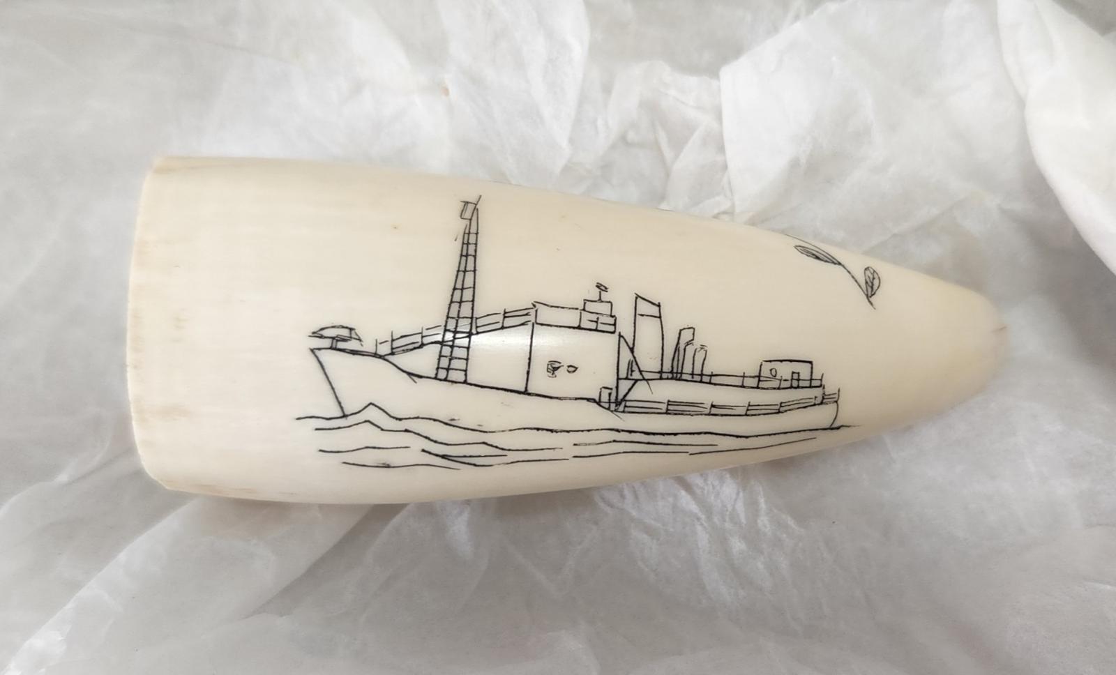 Scrimshawed tooth showing a CBWC chaser. 