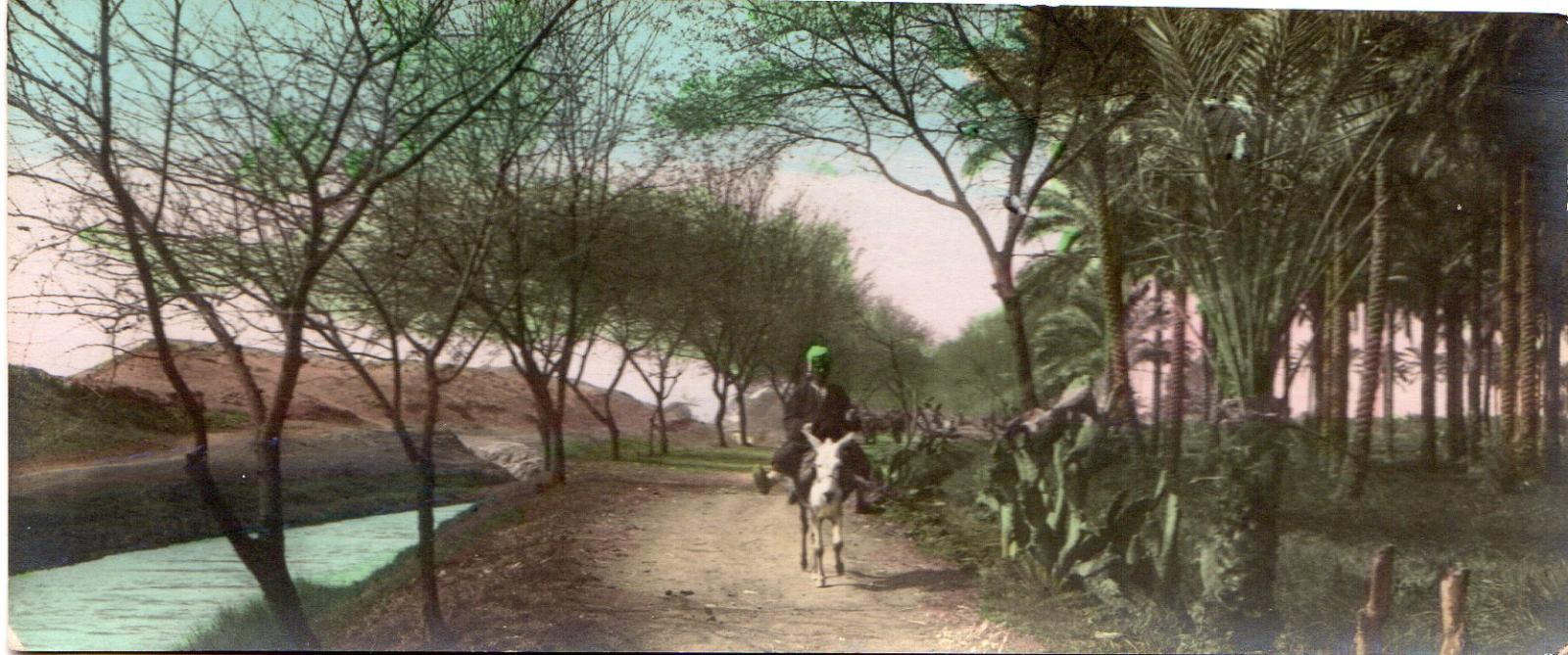 Postcard