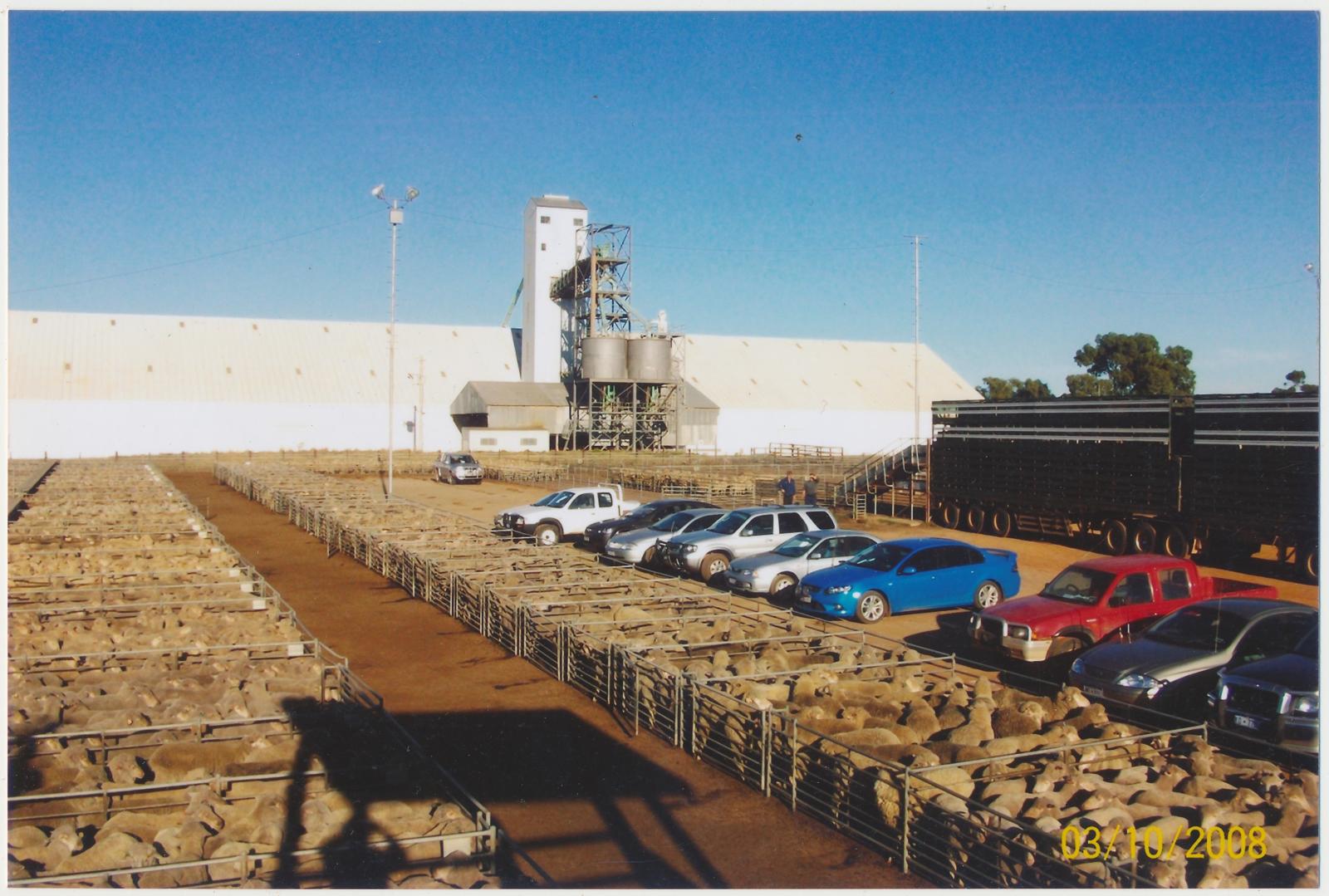 Katanning Sale Yards