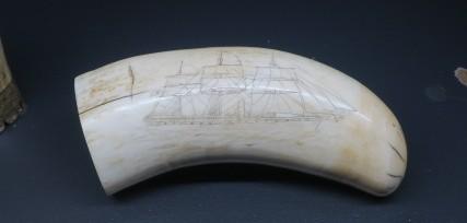 Scrimshawed Sperm Whale Tooth depicting whaling ship