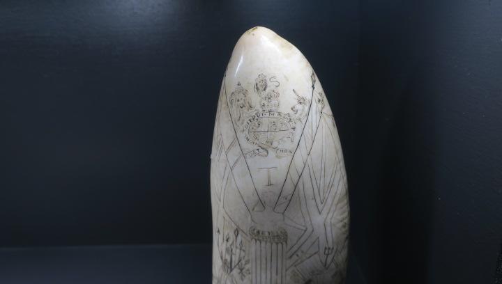 Close up of the British Coat of Arms, etched into the tooth.