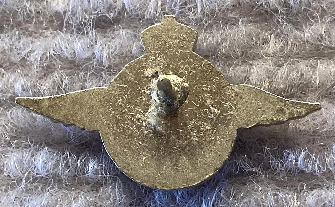 Reverse of Royal Aero Club of SA lapel badge without butterfly clutch pin backing