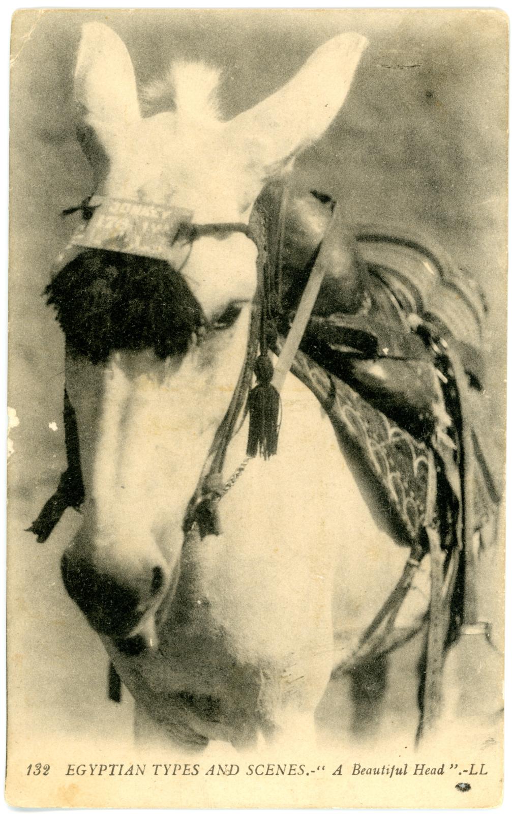 Postcard Front