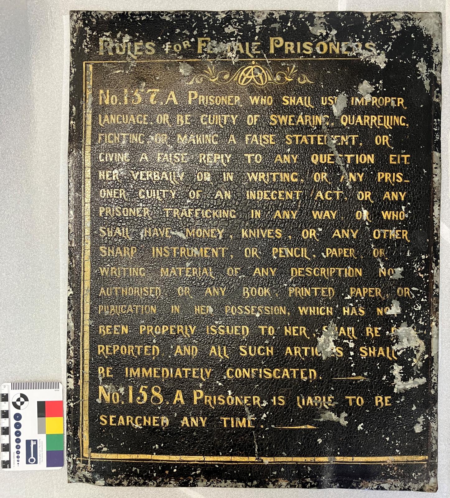 Women's division sign