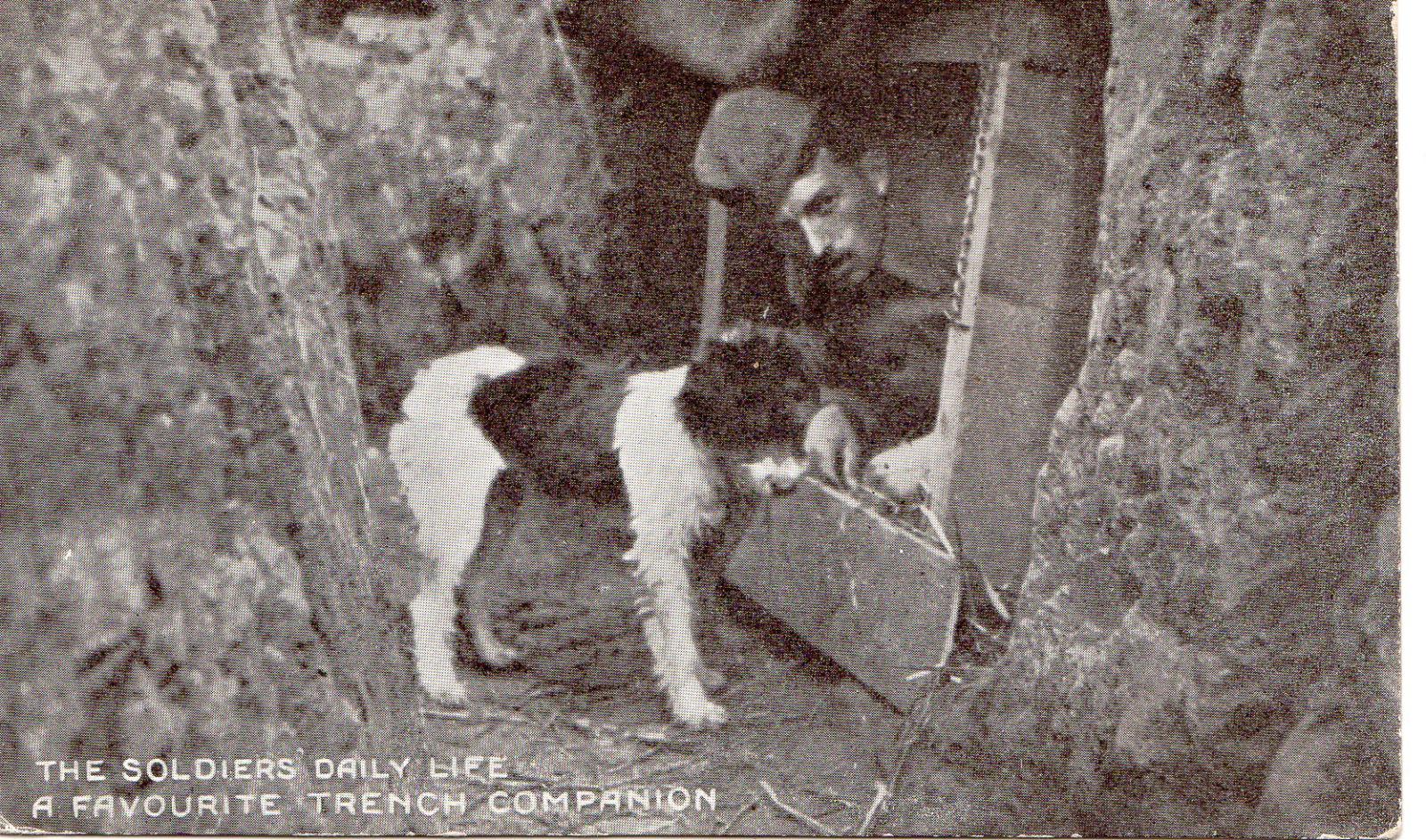 Postcard