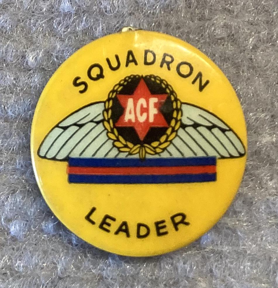 WWII era fundraising badge/button - 'Penny-a-plane' - Squadron Leader