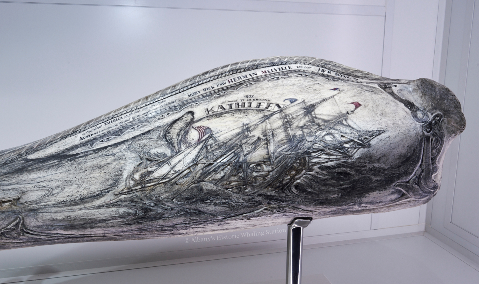 Scrimshaw jaw bone detail