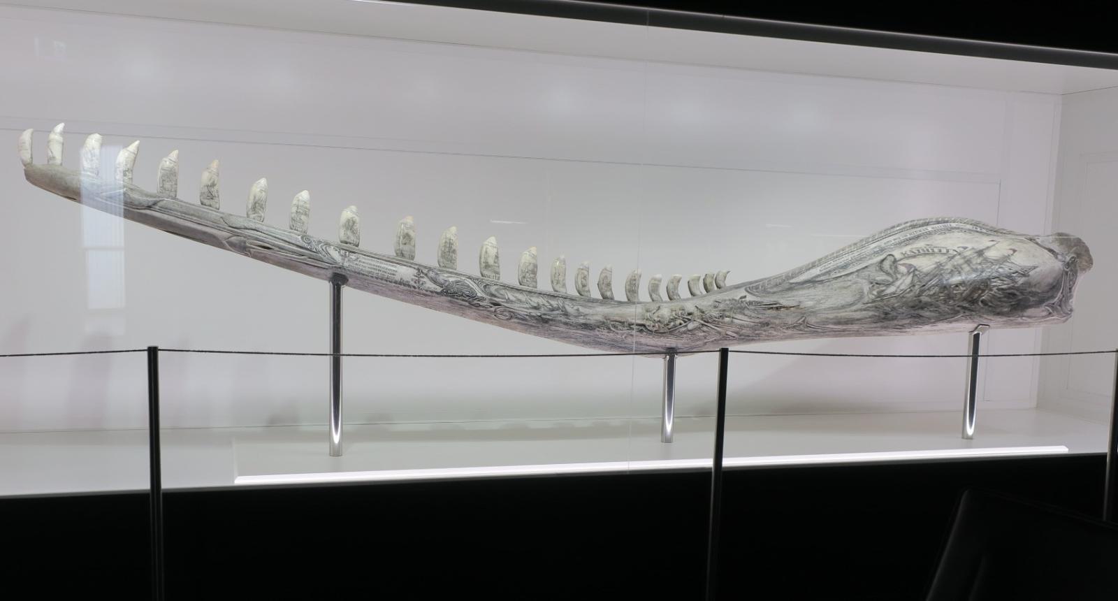 Engraved sperm whale jaw bone depicting historic whaling ship the Kathleen.