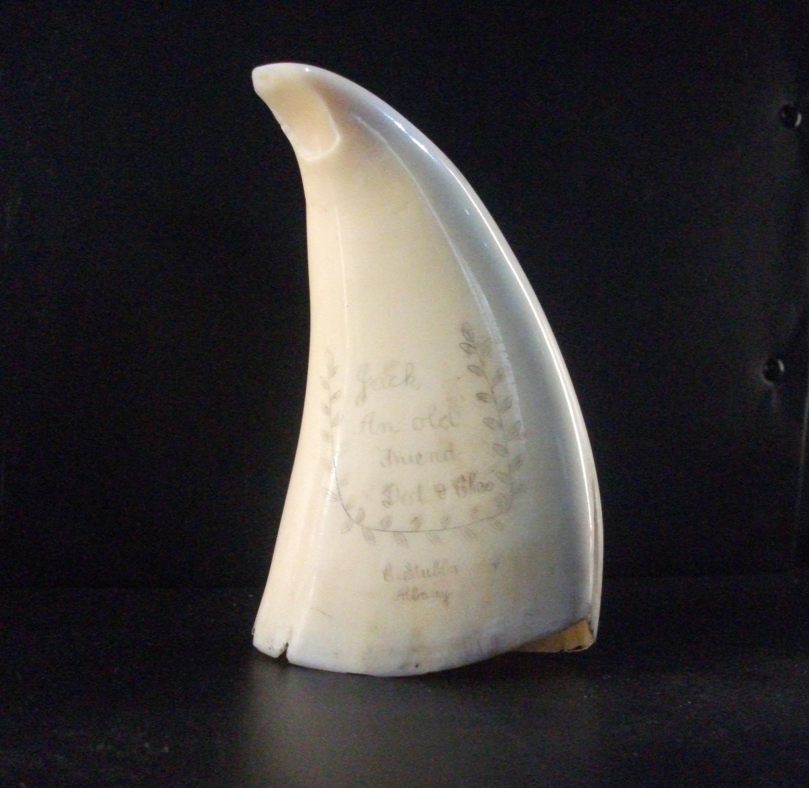 Other side of scrimshawed whale tooth