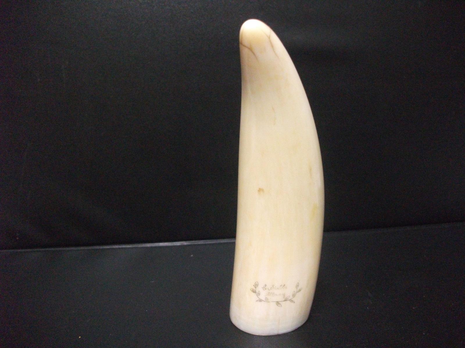Other side of Ches Stubs Scrimshaw tooth SC2009.1
