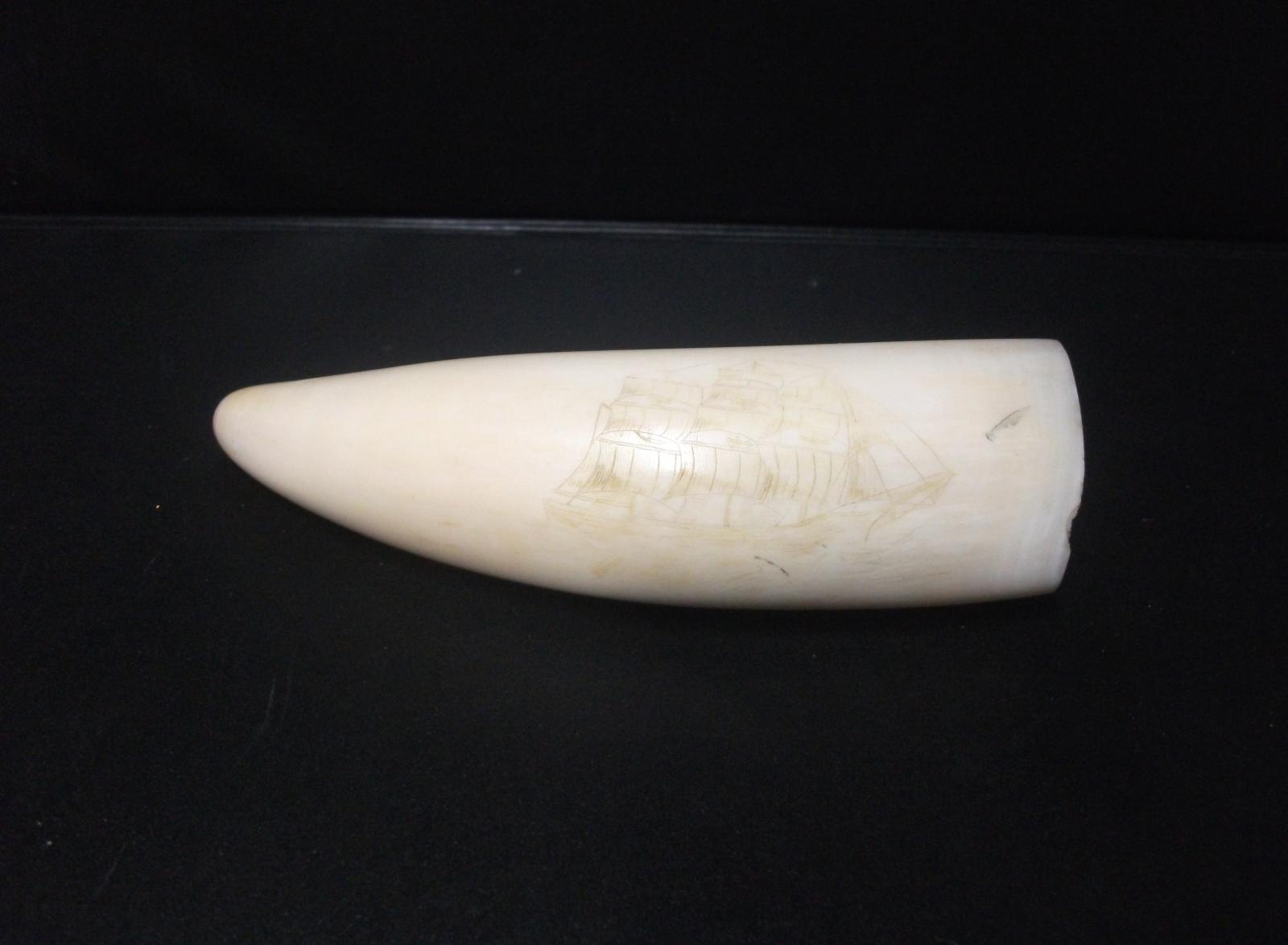 Scrimshaw by Ches Stubbs depicting historic sailing ship