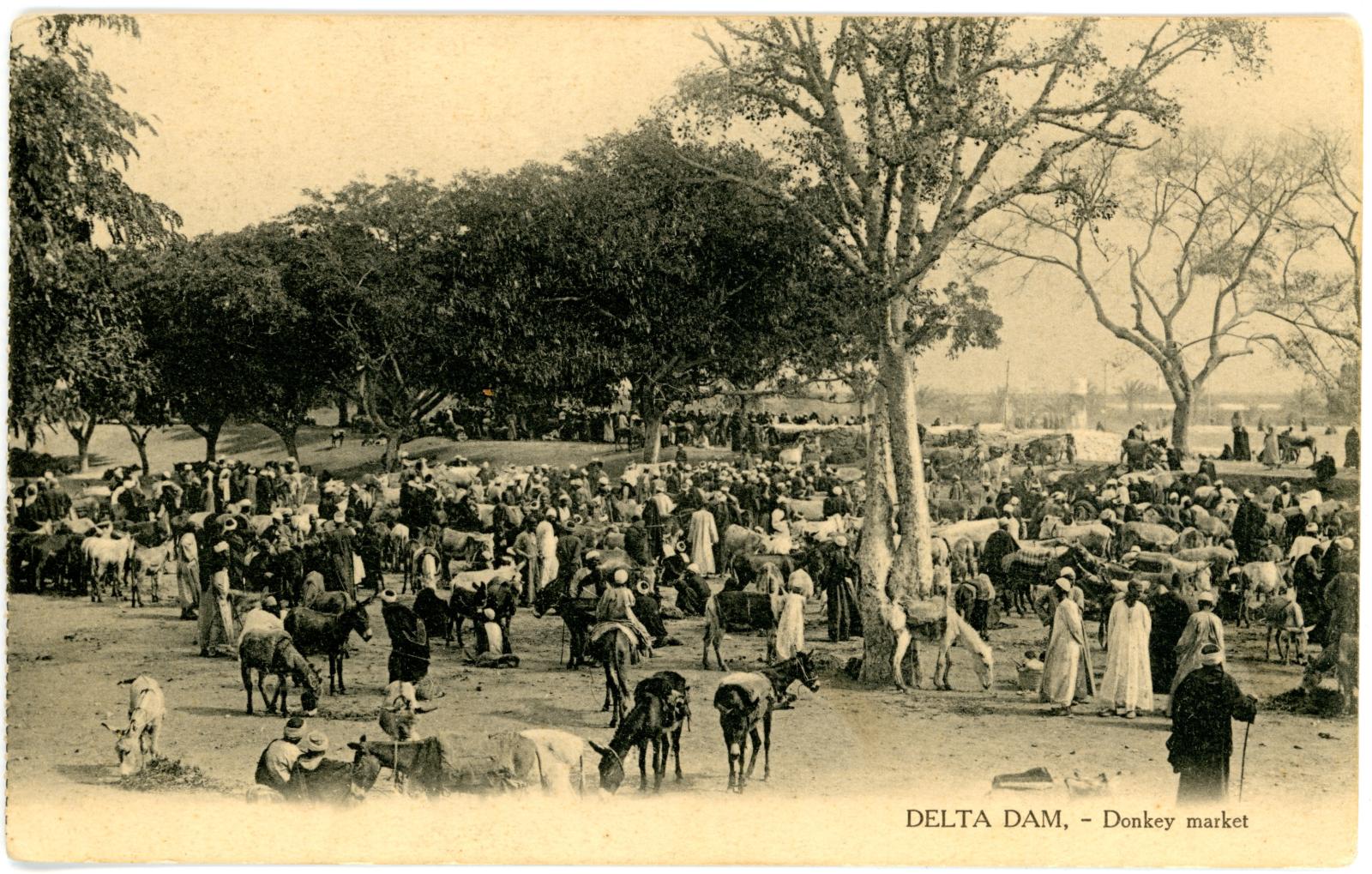 Postcard Front