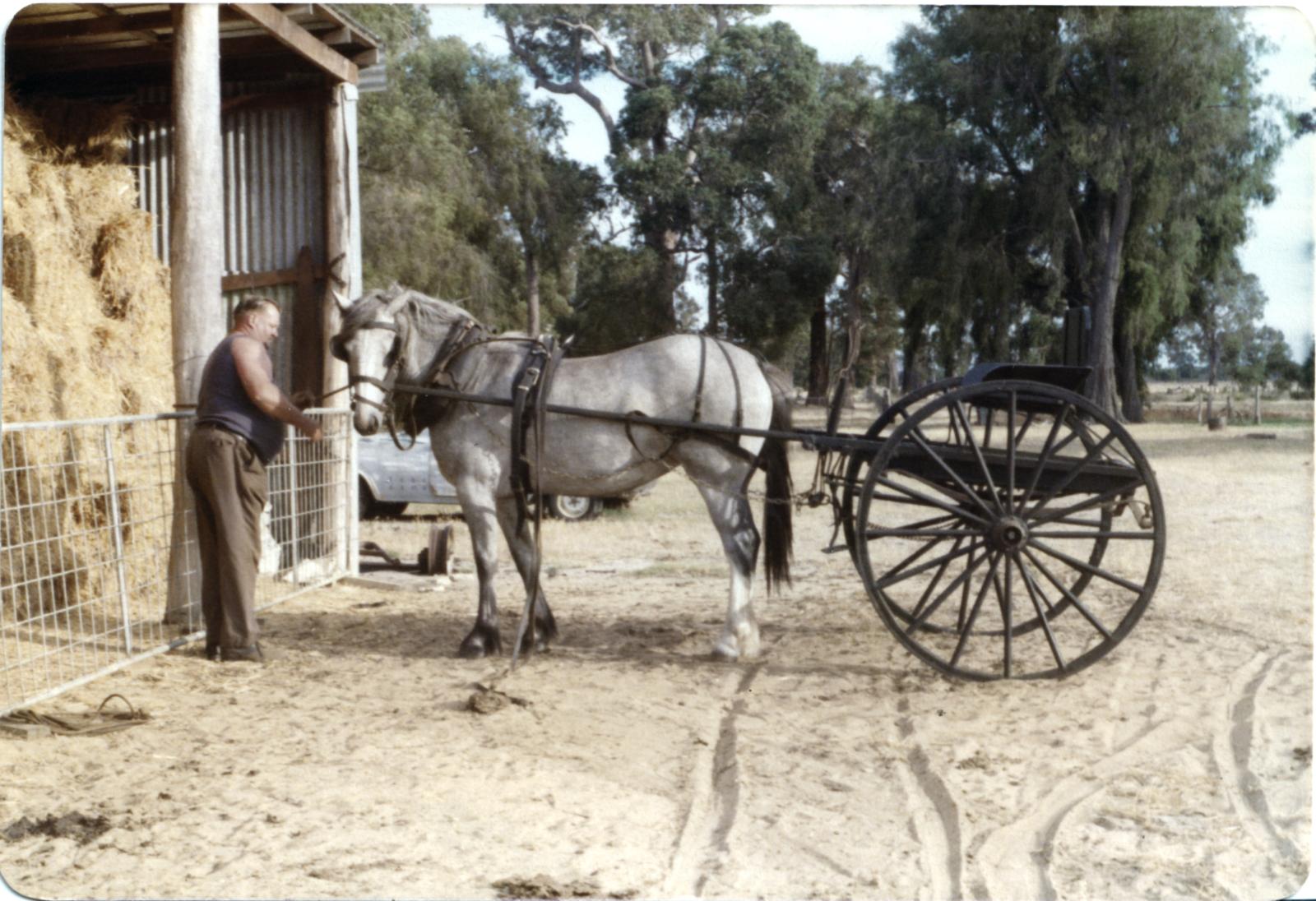 Merv, horse & buggy