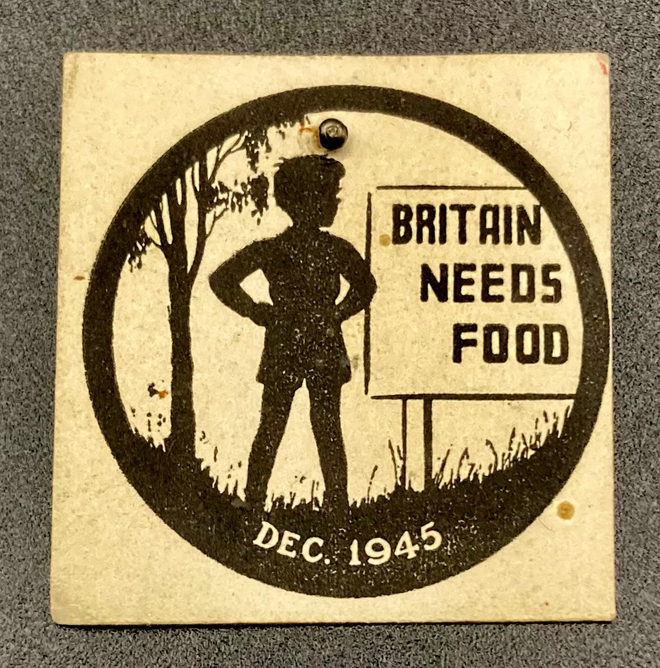 Food for Britain paper fundraising pin
