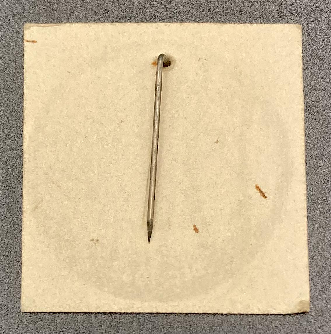 Reverse of Food for Britain paper fundraising pin