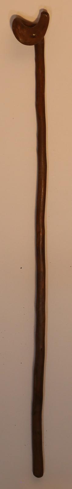 Walking Stick