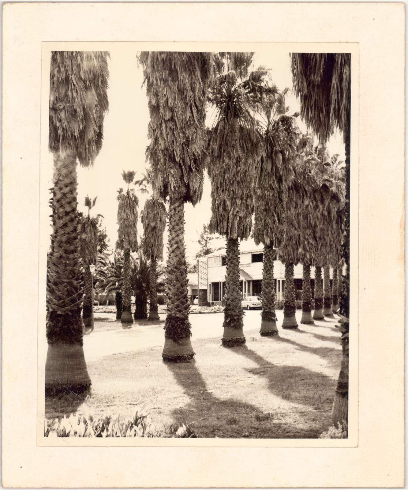 Katanning Hospital