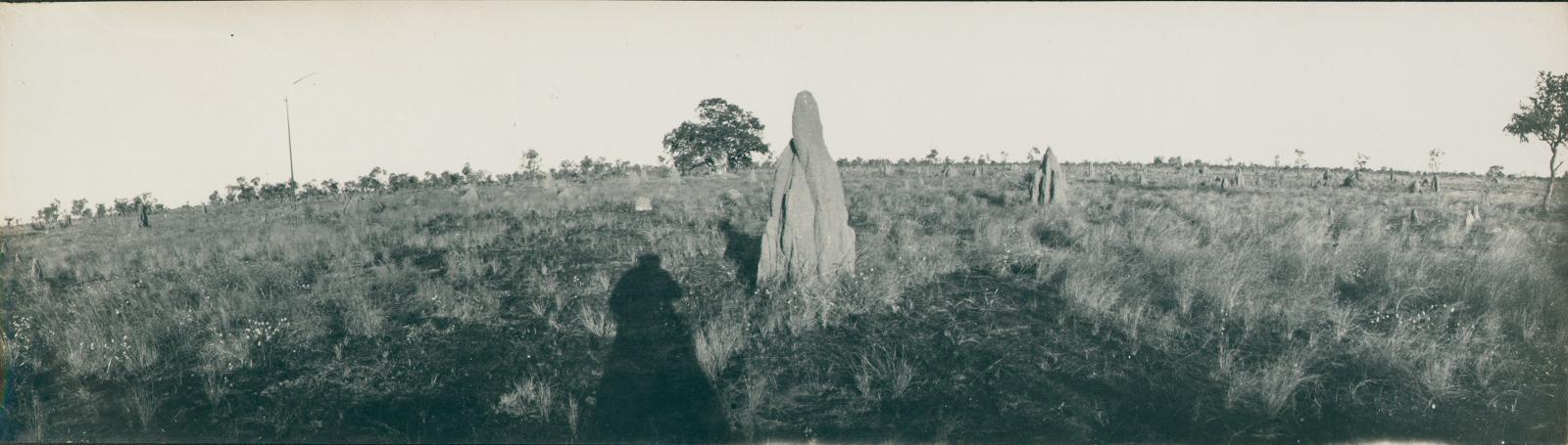 One termite hill in the foreground and many in the background, located in Australian scrubland.