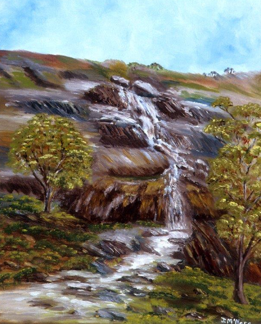 J	McNess	Sixty Foot Falls in ‘Ellis Brook’ (off Rushton Road, Martin)