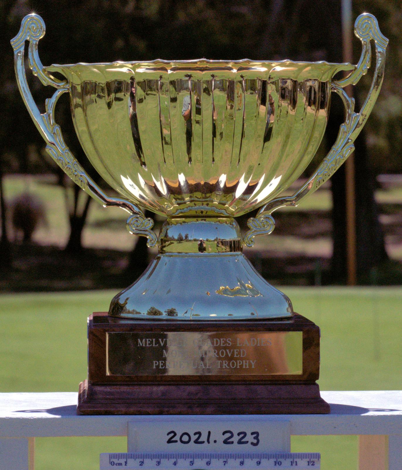WOMEN'S MOST IMPROVED PERPETUAL TROPHY | Collections WA