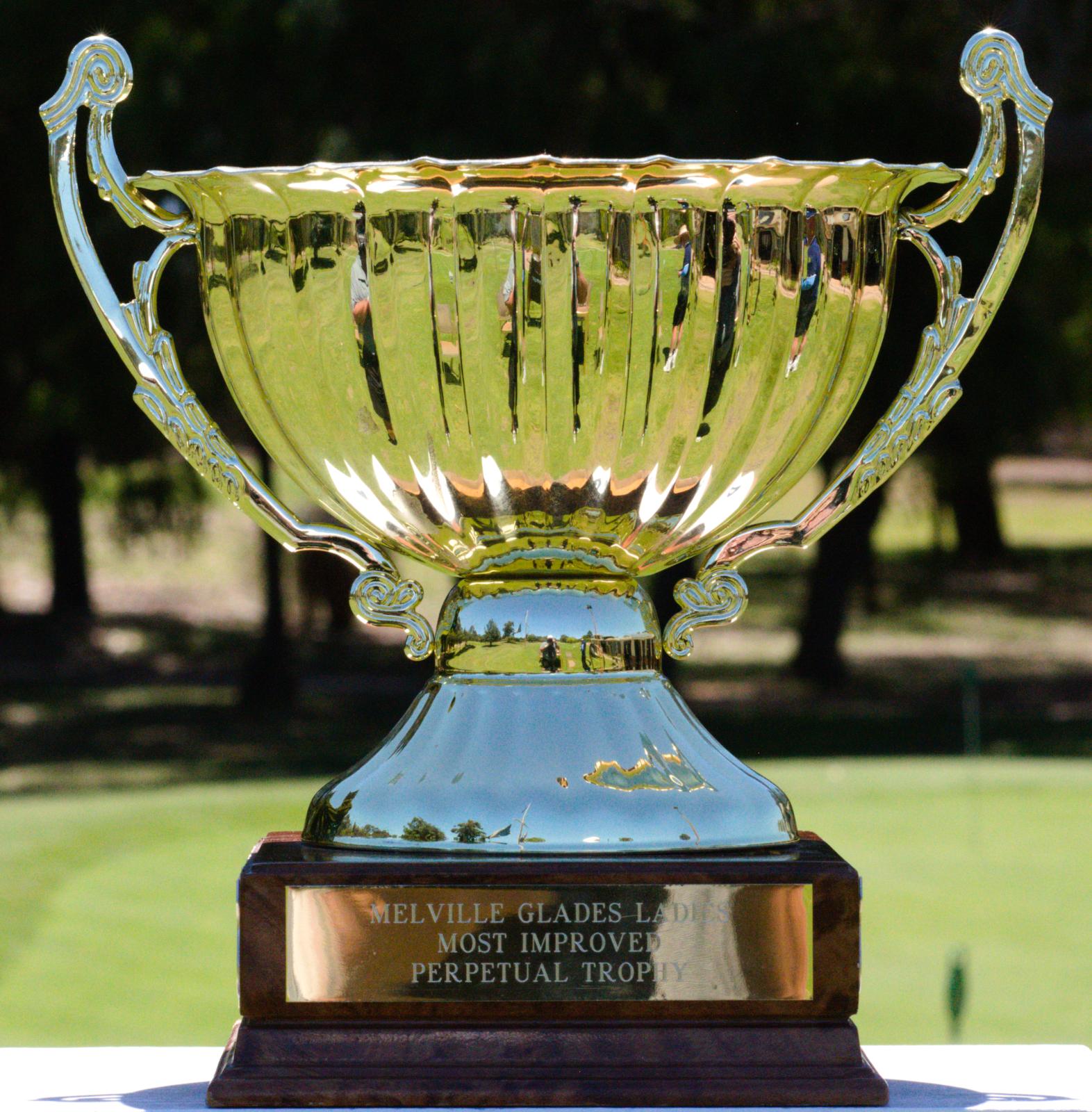 WOMEN'S MOST IMPROVED PERPETUAL TROPHY | Collections WA