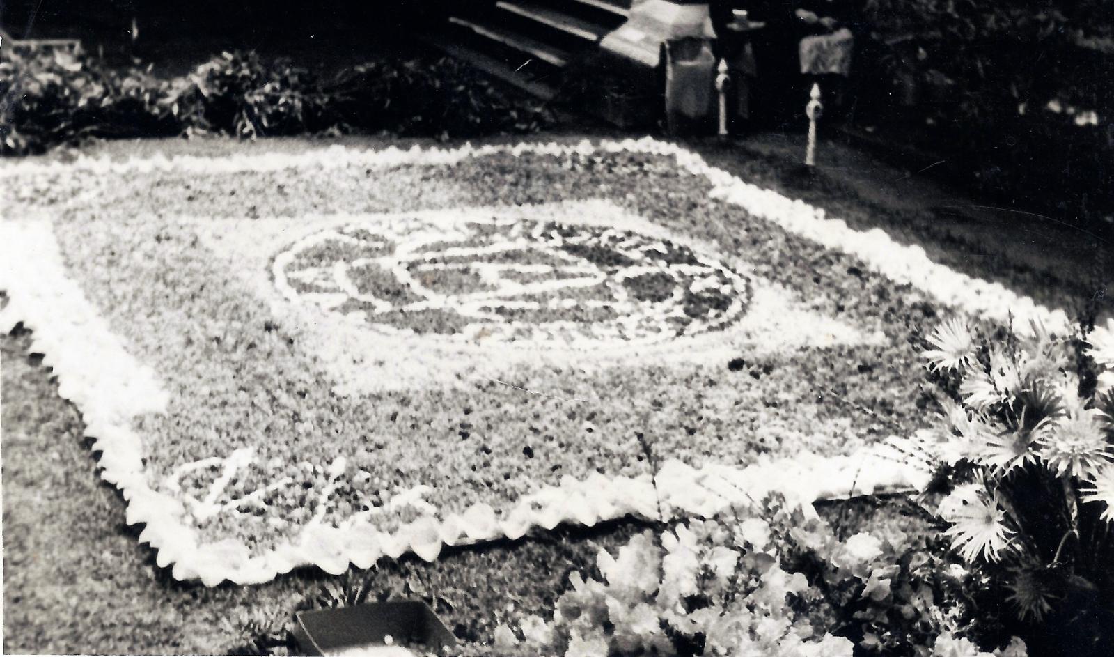 No 1 Silver Chain Flower Day 1950 No 1 Silver Chain Flower Day 1950