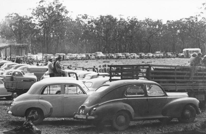 Rodeo at Moborup