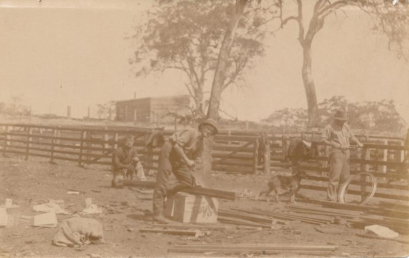 Building sheepyards at Muradup