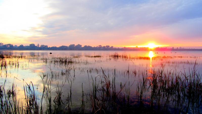 Sunrise at Forrestdale Lake