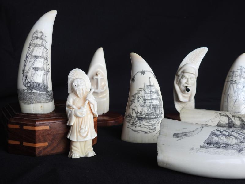 A group of eight whale teeth. Five have scrimshaw images of sailing ships and three are teeth that have a design carved into them.