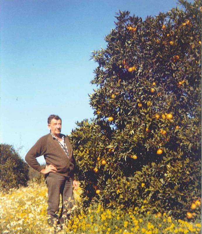 Val Wilkinson in the orchard next to orange trees