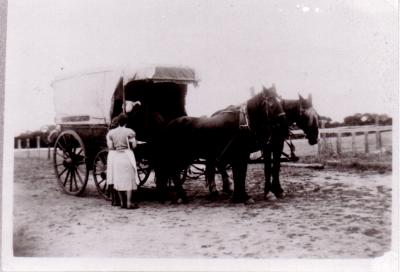 Indian Hawker - Narl Singh, on wagon.