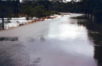 Rising floodwaters, Albany Highway.