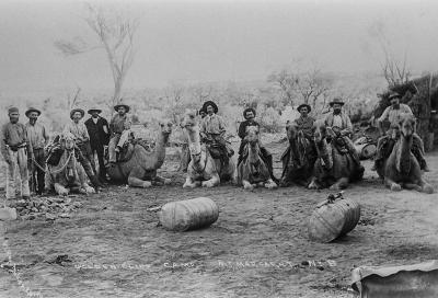 Eleven men pose with seven kneeling camels in front of a bush camp. In the foreground, two large round water carriers rest on the ground.